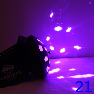 21_discopilz